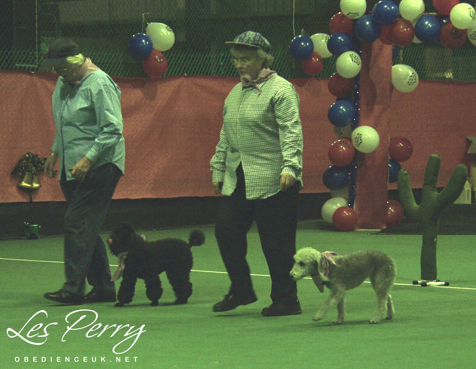 Picture 026