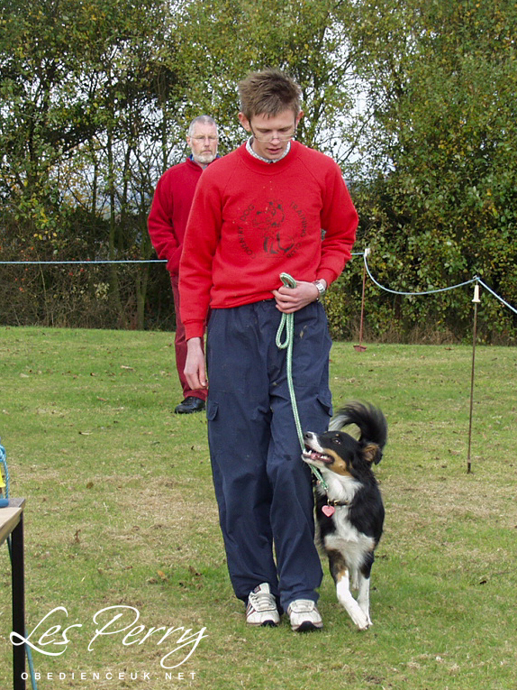 Picture 010