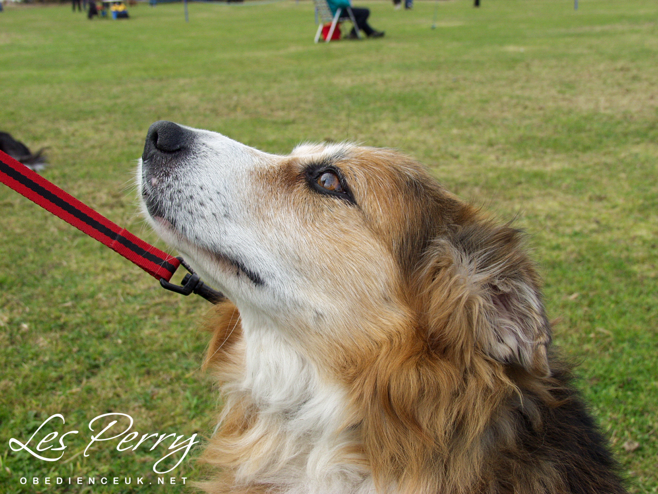 Picture 012