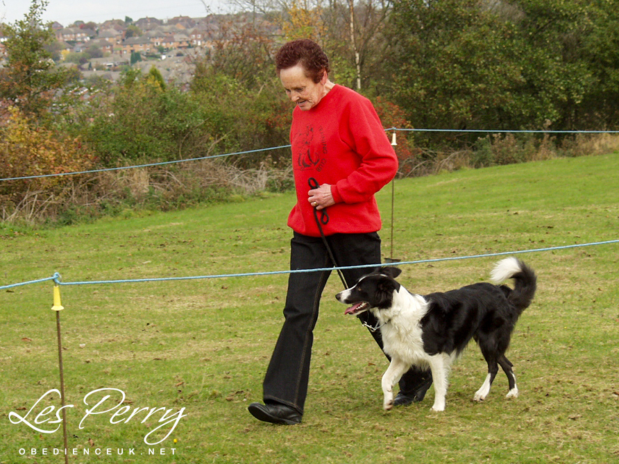 Picture 023