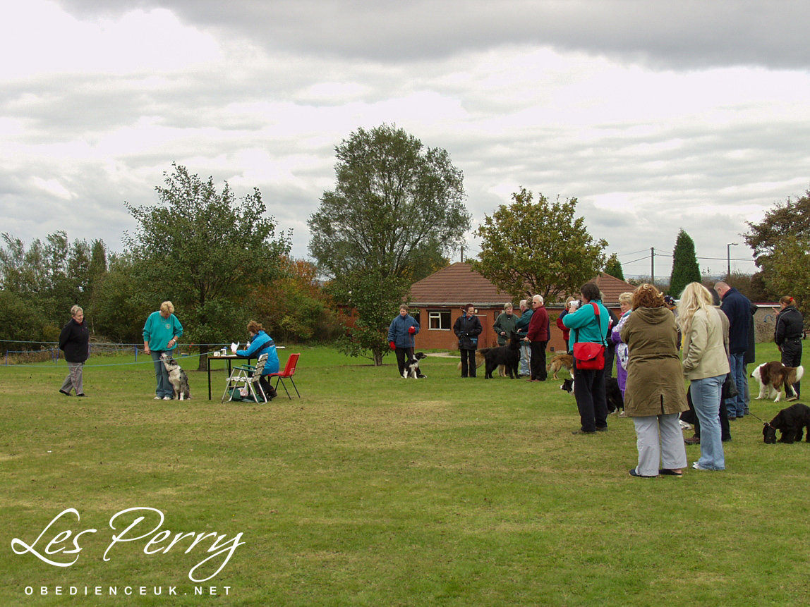 Picture 055
