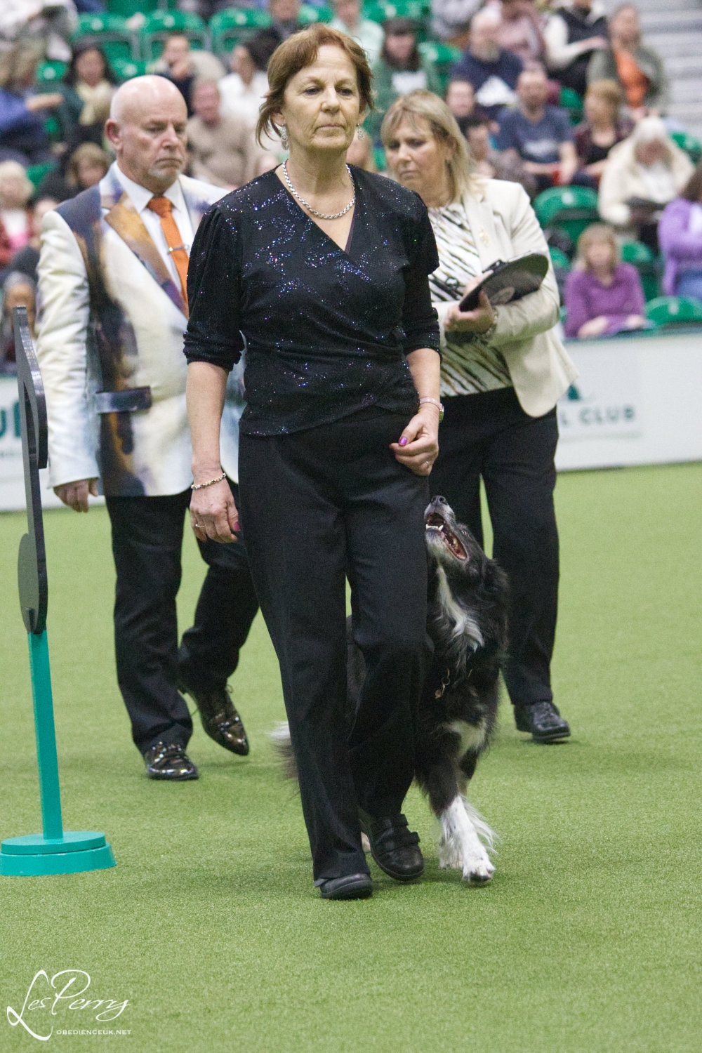 z24AG350
