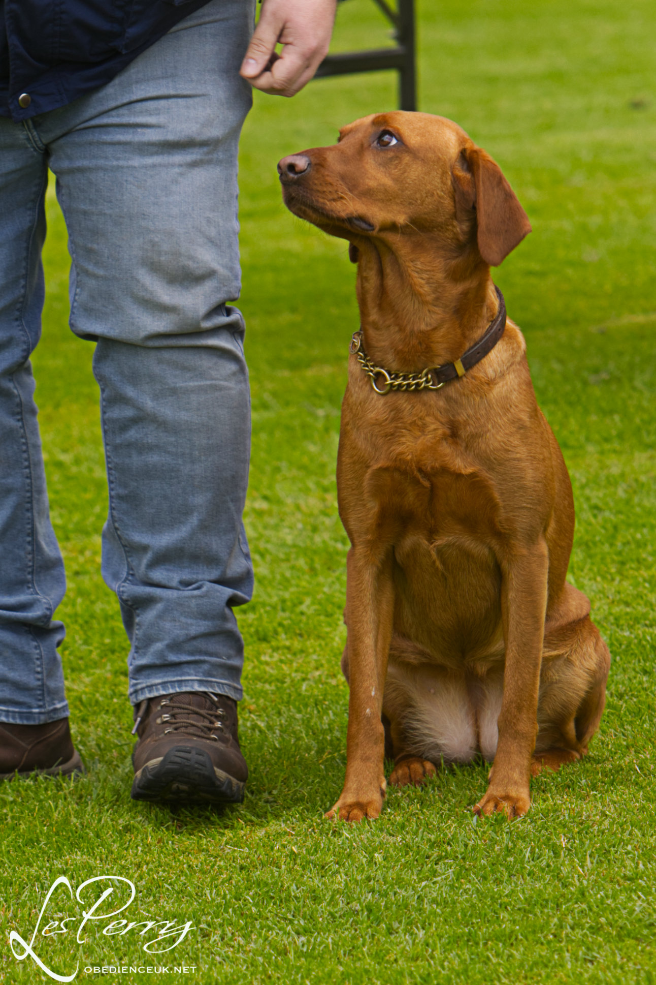 z24BA139