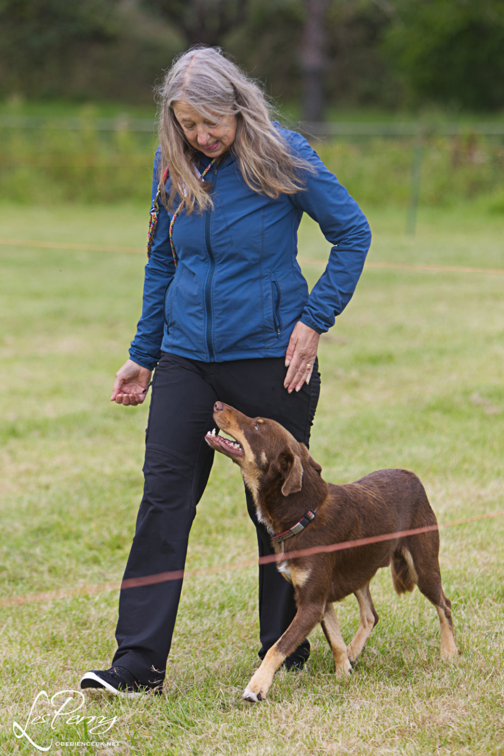 z23CY045