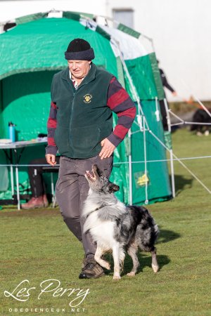 z26AA132