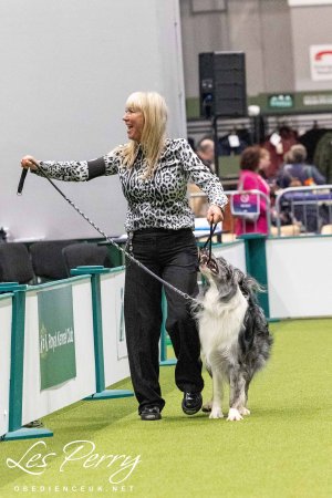 Crufts Dog Championship Parade