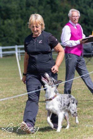 z25BX136