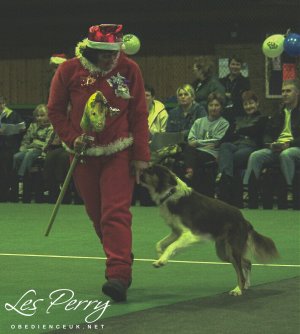 Picture 030