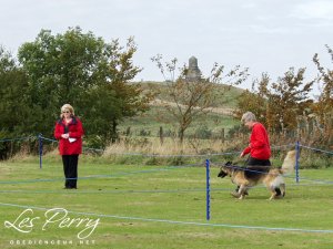 Picture 021