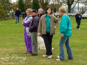 Picture 051