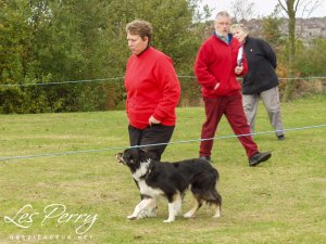 Picture 058