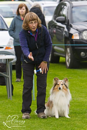 z24BA040