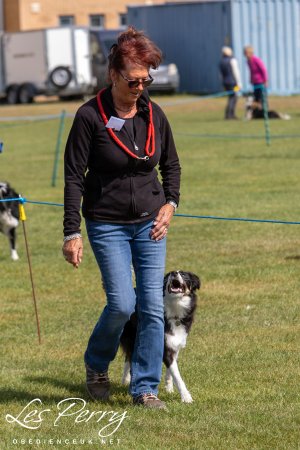 z24BY172