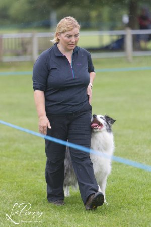 z23BY177