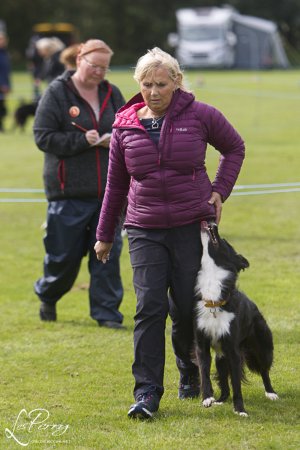 Hatchford Brook Open Show