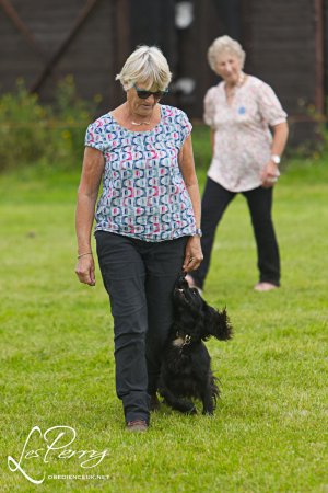 z23CY139