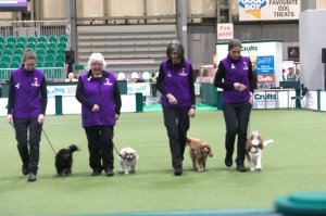z22ad008