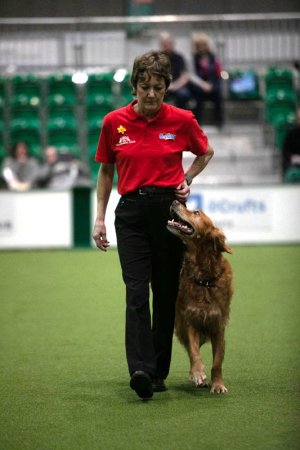 z22aj275