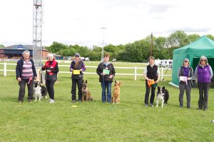 Loughborough Championship Show