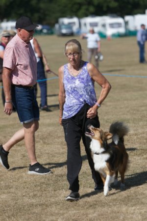 Solihull Open Show